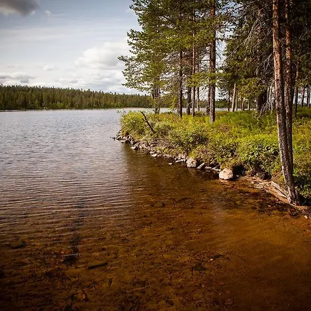 Torassieppi Pallastunturi