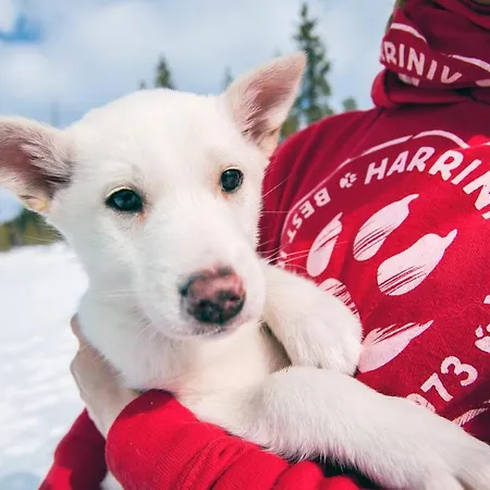 Torassieppi Hébergement de vacances *