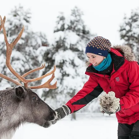 Torassieppi Pallastunturi