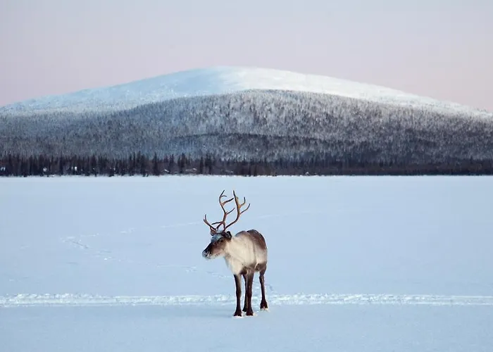 Torassieppi Сasa de vacaciones