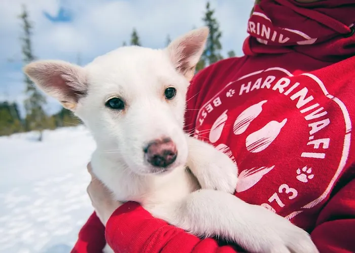 Torassieppi Сasa de vacaciones *