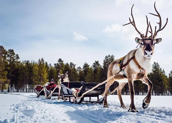 Сasa de vacaciones Torassieppi *