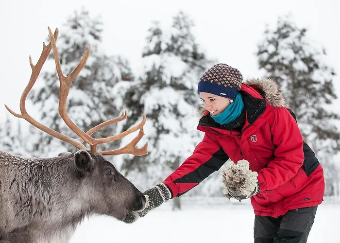 Torassieppi Pallastunturi