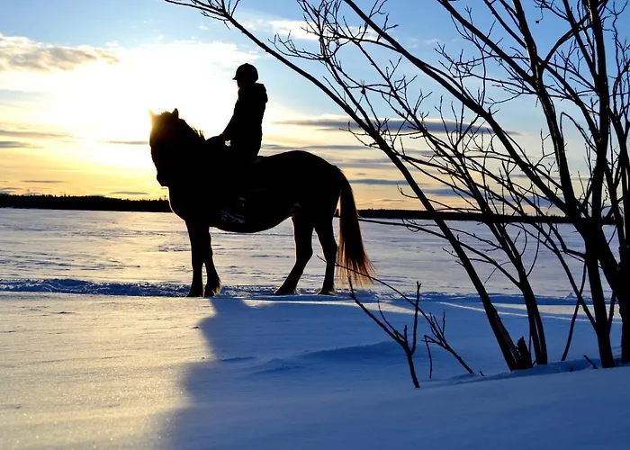 Сasa de vacaciones Torassieppi *