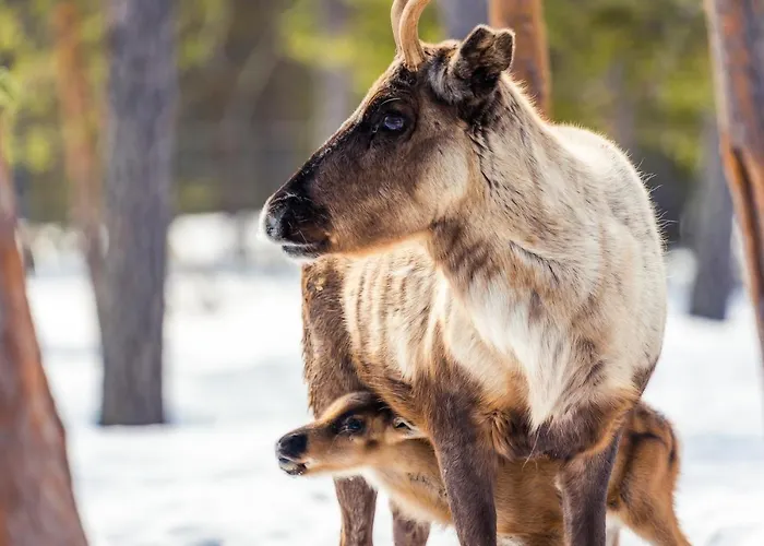 Сasa de vacaciones Torassieppi